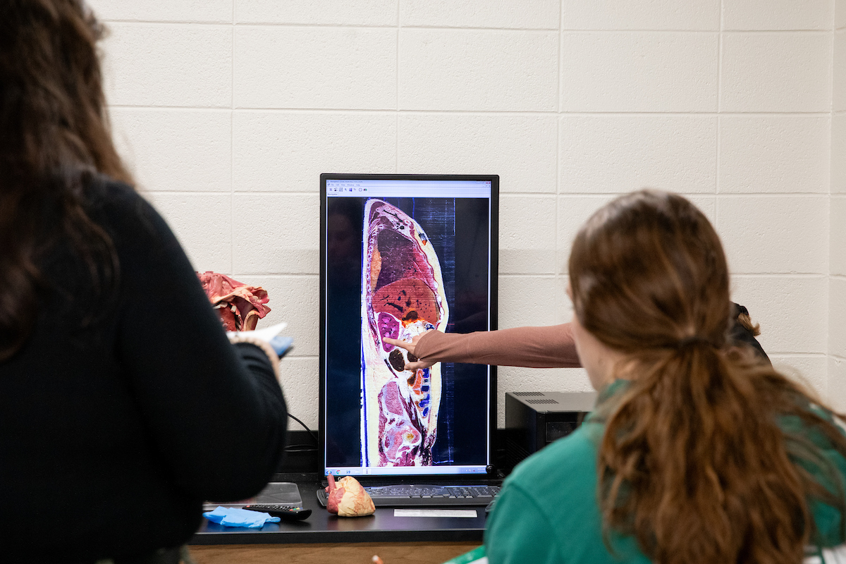 Students looking at a scan of a human body part on a screen