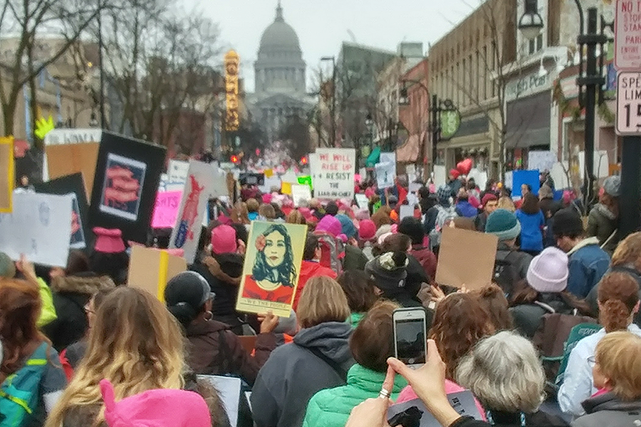 Protest on State Street heading to the Madison Capital