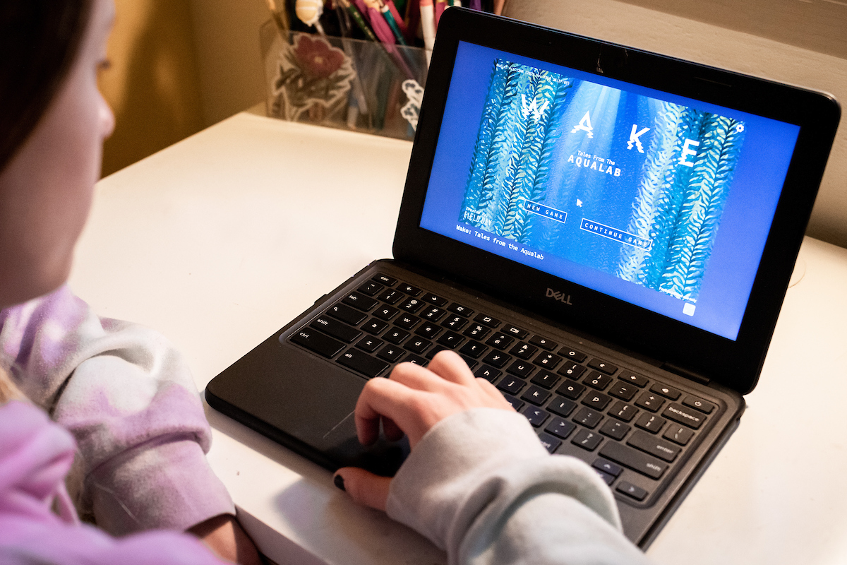 Student on a computer