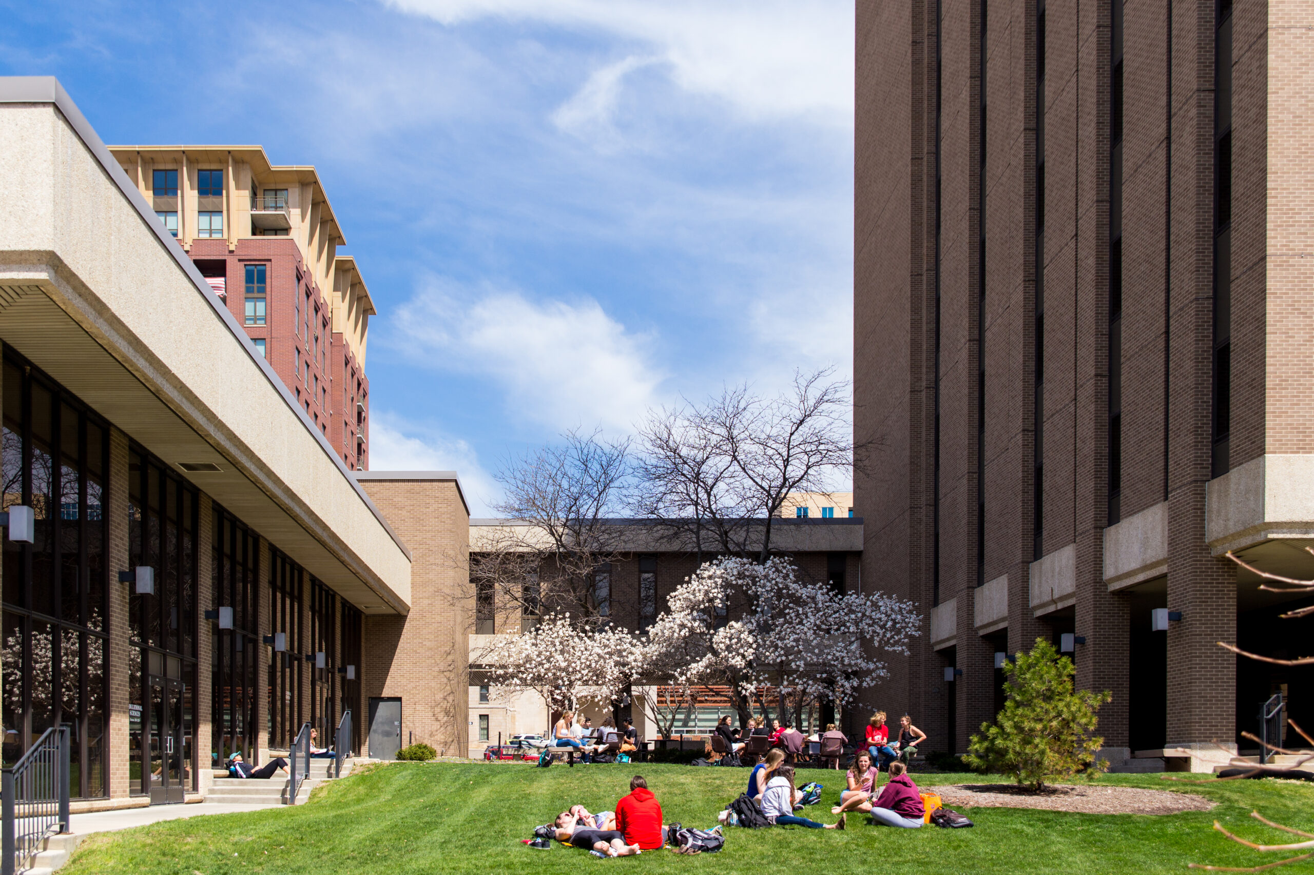 UW Students outside studying at The Educational Sciences Building