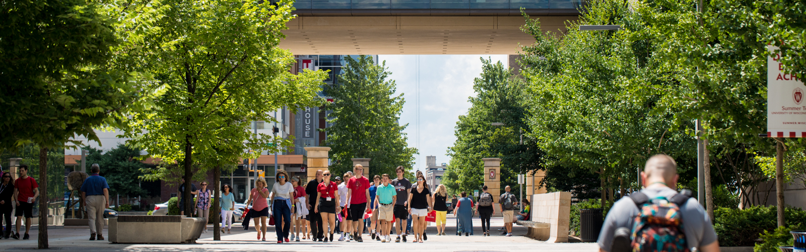 Students walking on a campus path on a sunny day