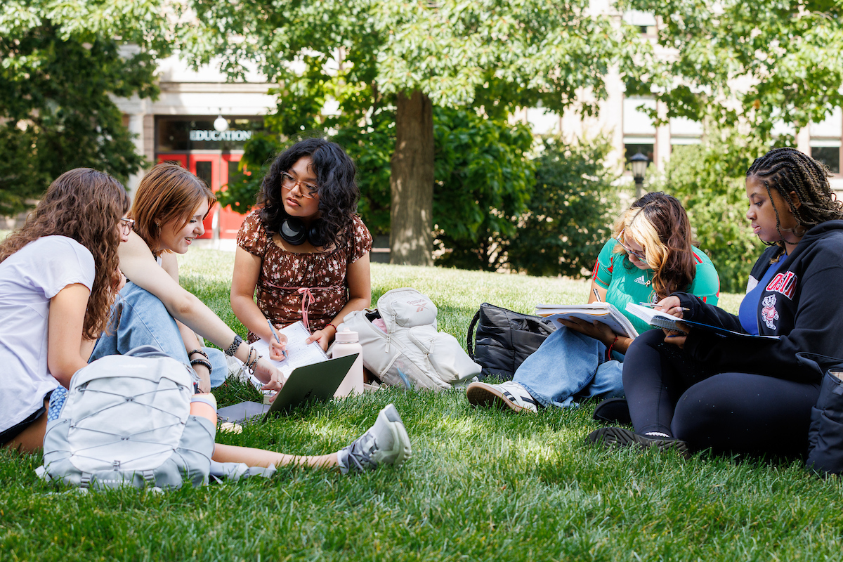 a grup of students studying in the grass